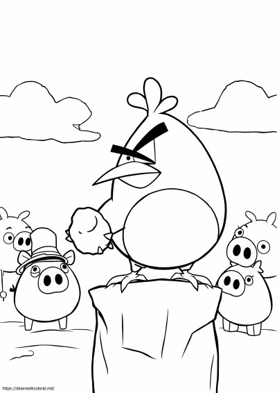 Chuck Angry Birds