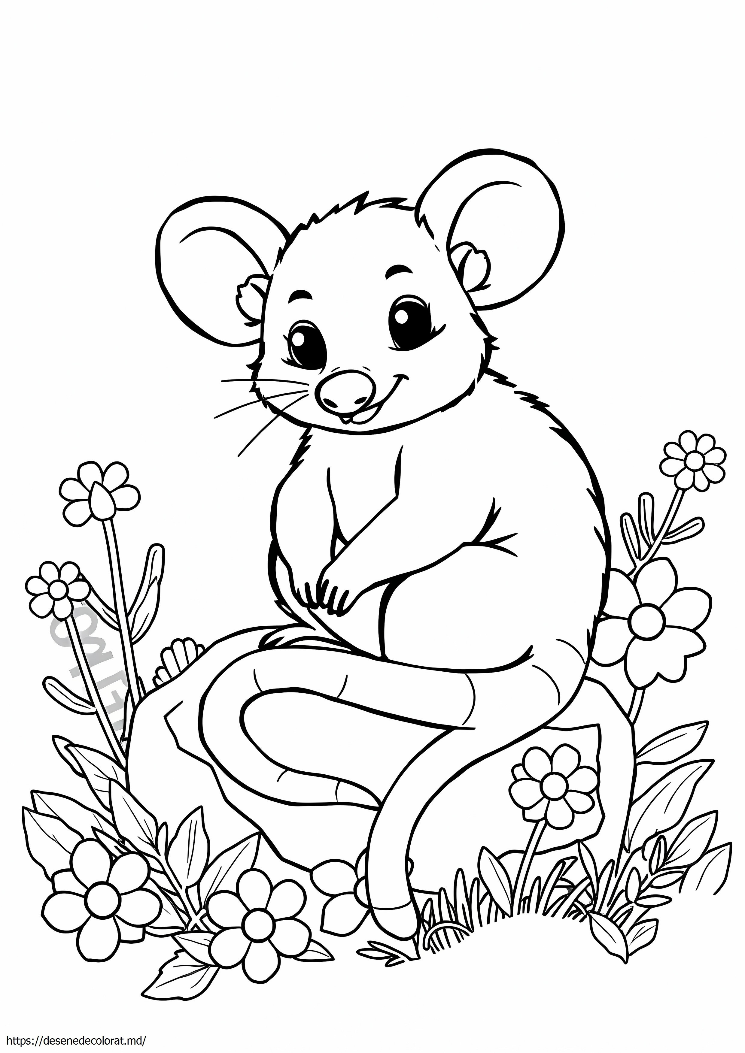 Opossum