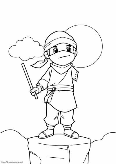 Ninja stângaci
