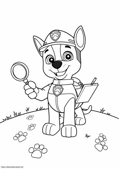 Cosmo Paw Patrol