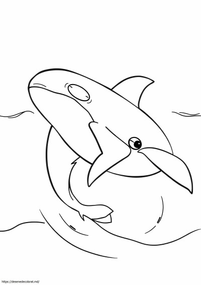 Orka