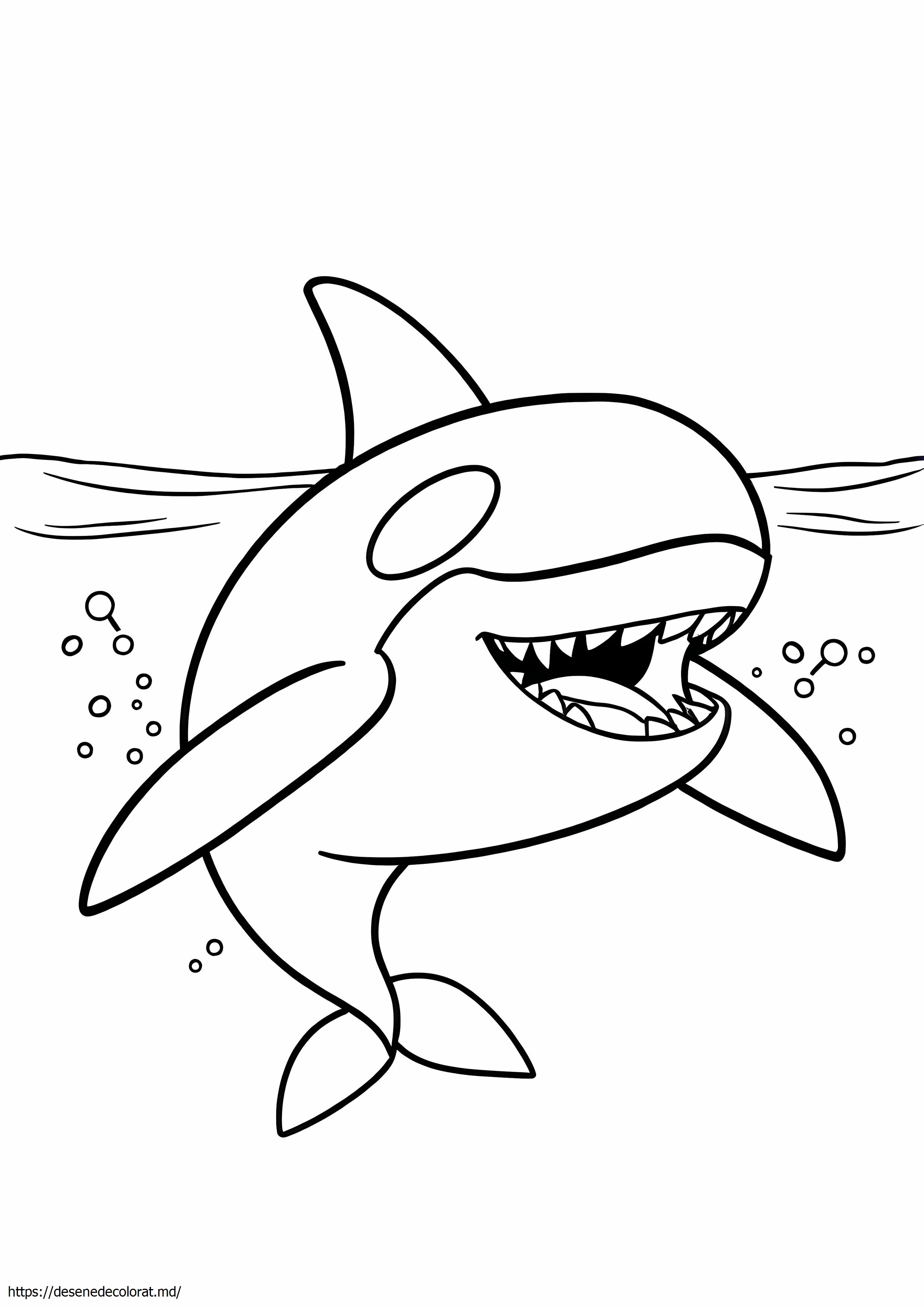 Orca