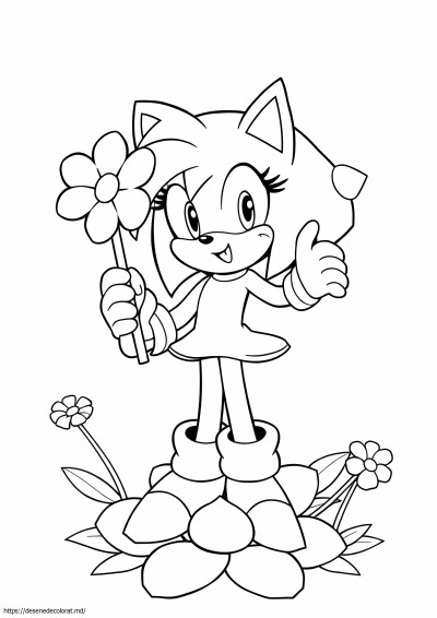 Drăguță amy sonic