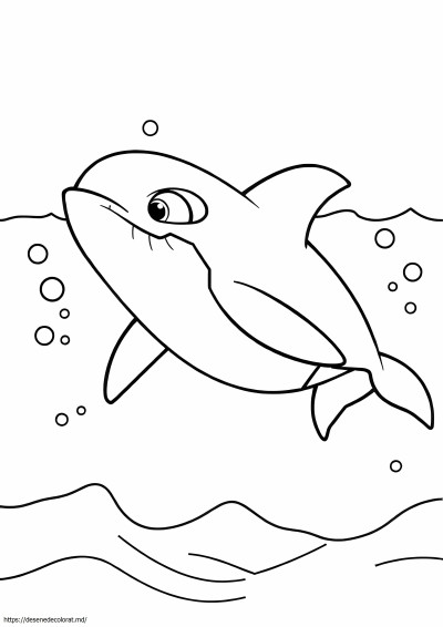 Orca balena ucigașă