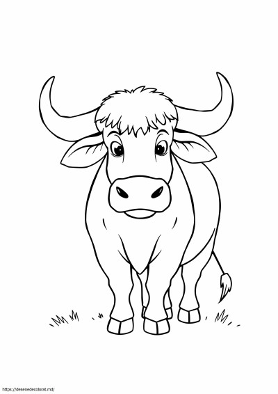 Bou