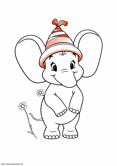 Drăguț dumbo