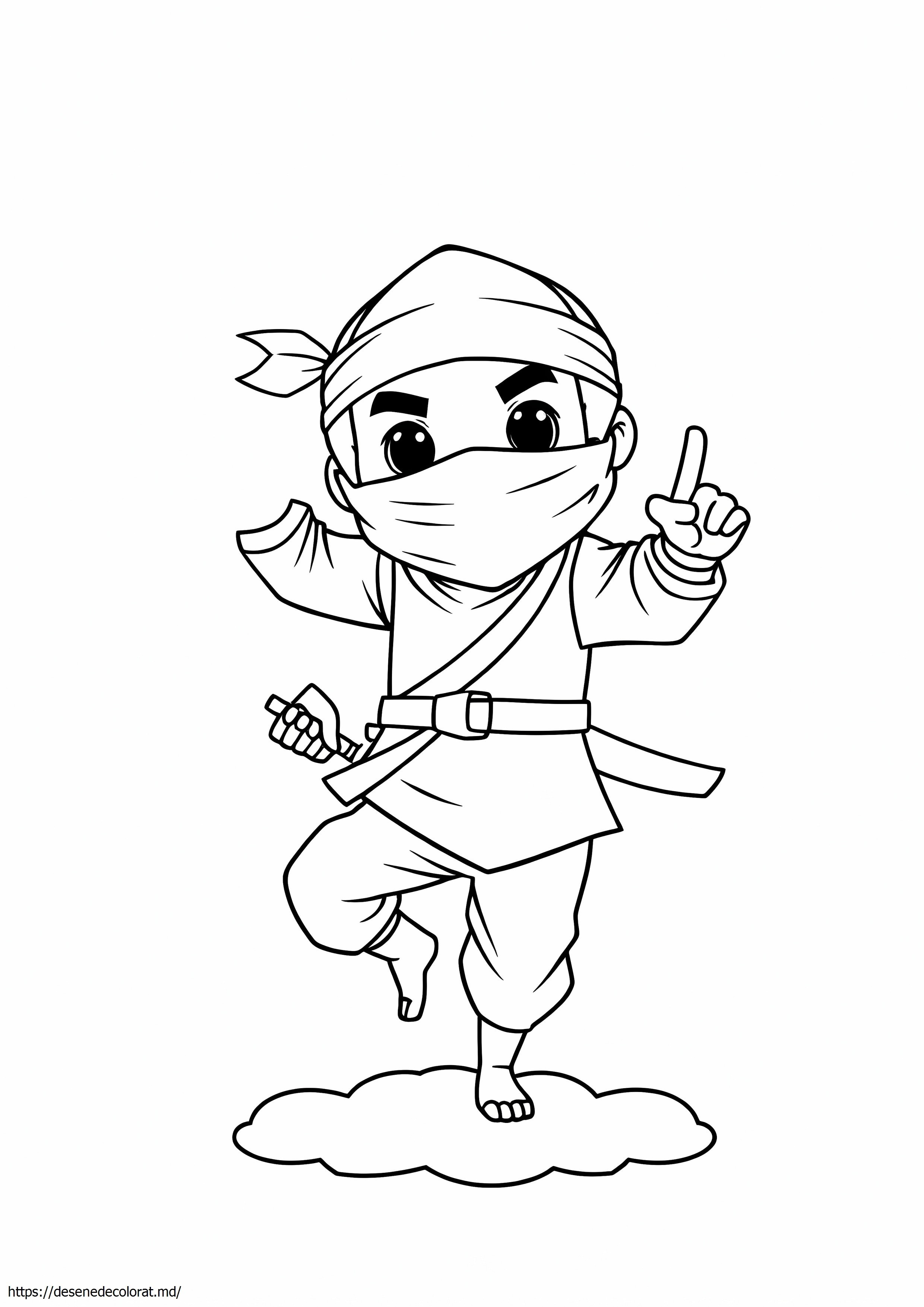 Drăguț ninja