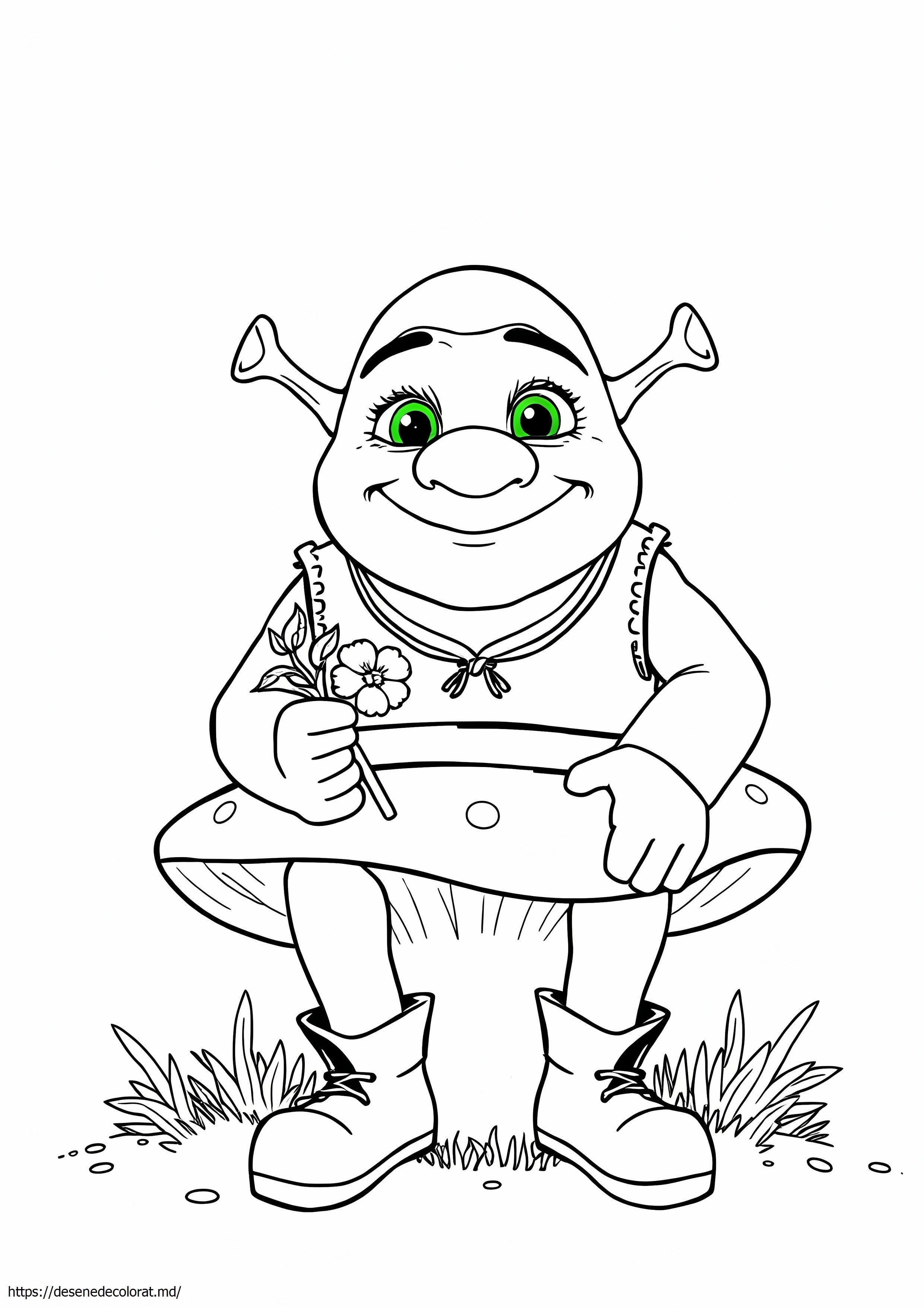 Drăguț shrek