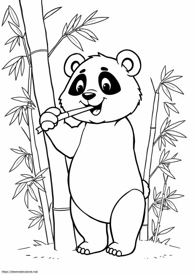 Bambus panda