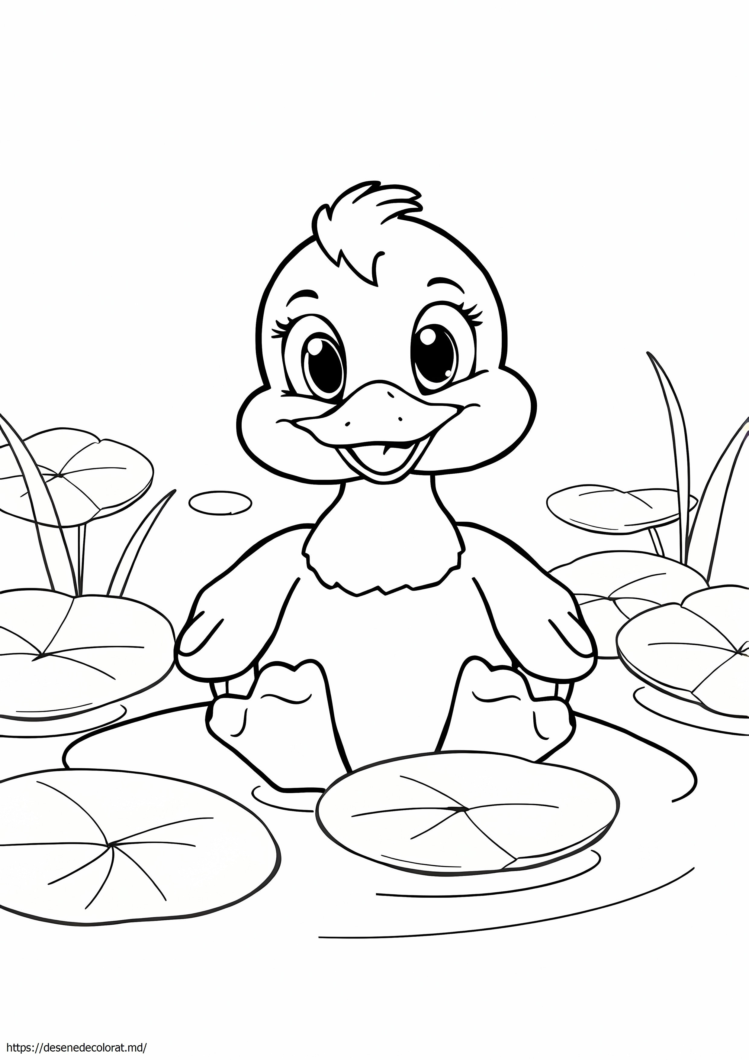 Pato