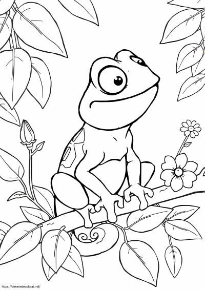 Disney incurcat pascal