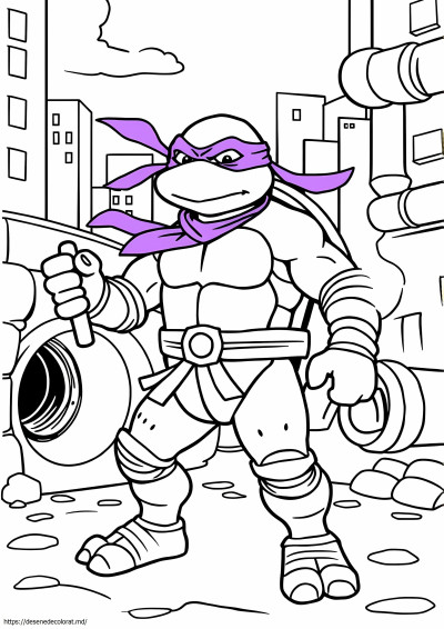 Donnie ninja turtle