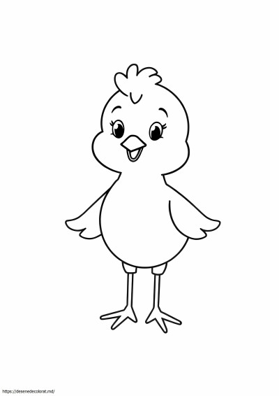 Peep