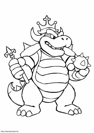 Bowser uscat