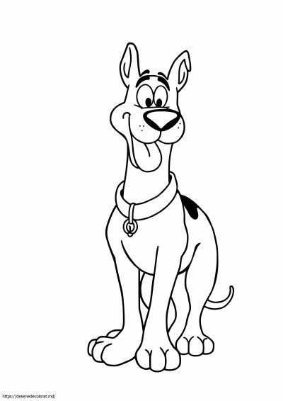 Scooby Doo usor
