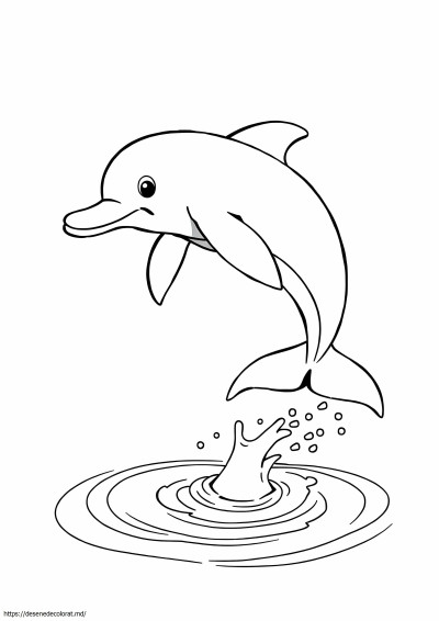 Delfin roz de râu