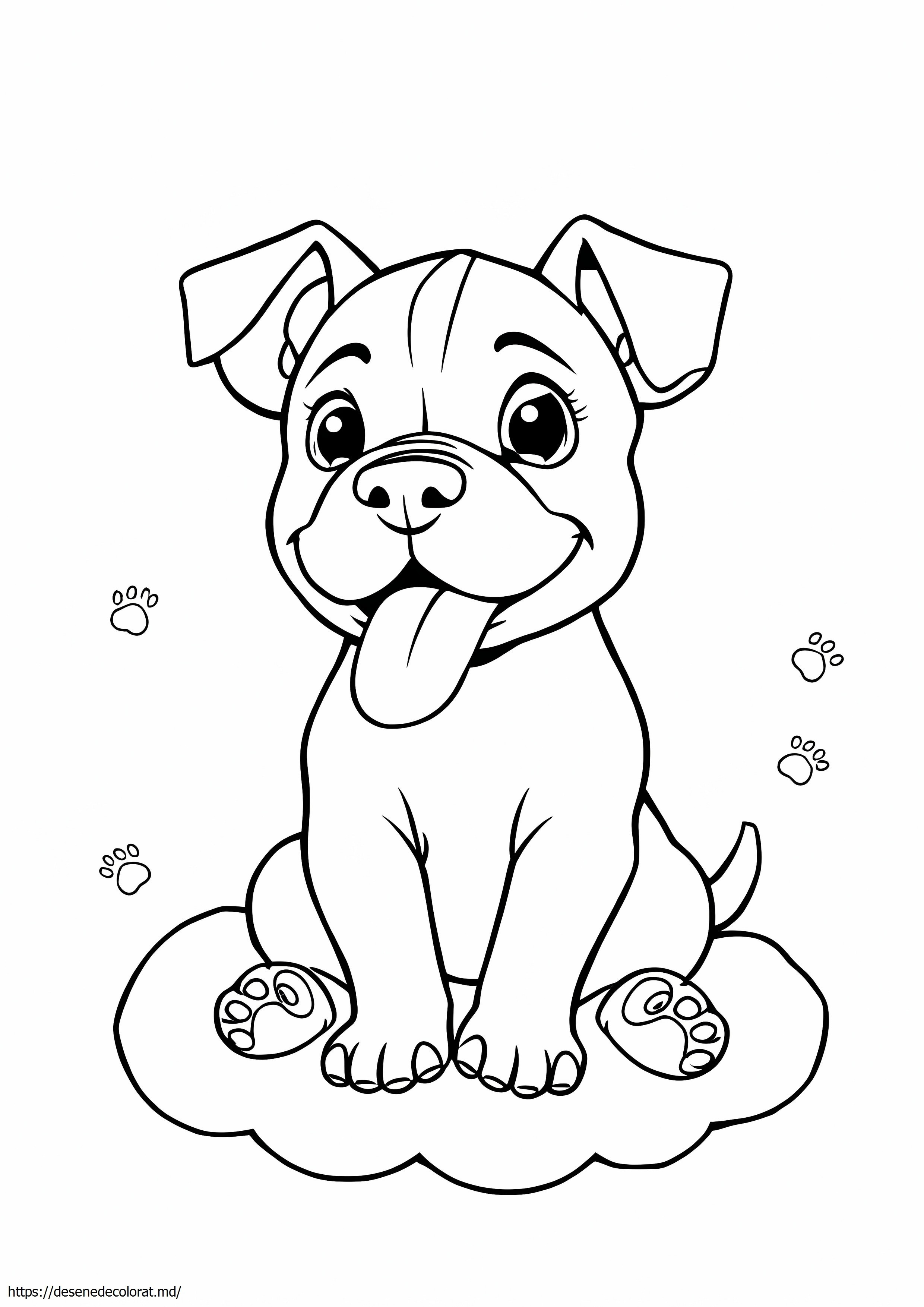 Catelus pitbull
