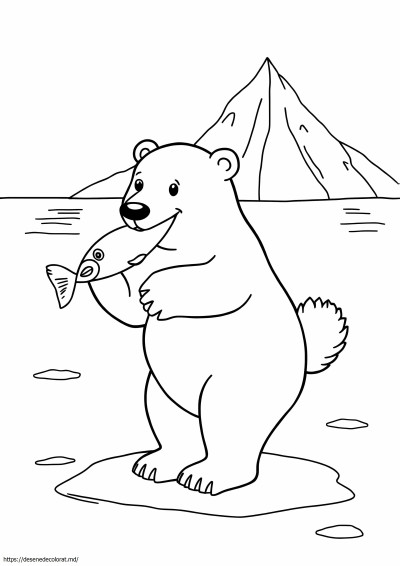 Urs polar