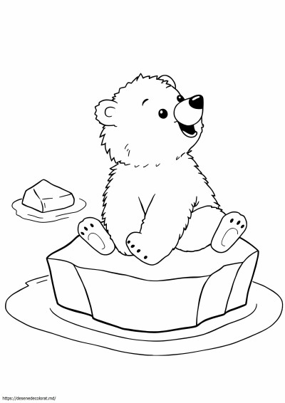 Pui de urs polar