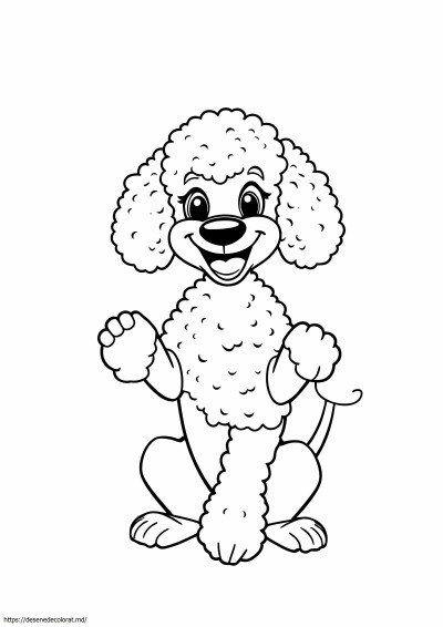 Câine pudel