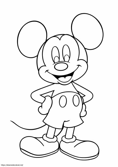 Mouse-ul mickey de dimensiune completă