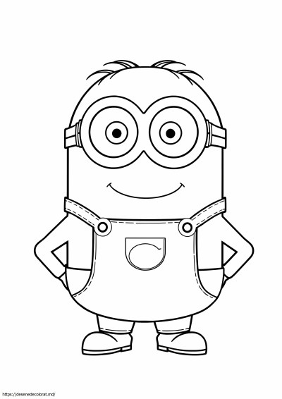 Minion de pagină întreagă