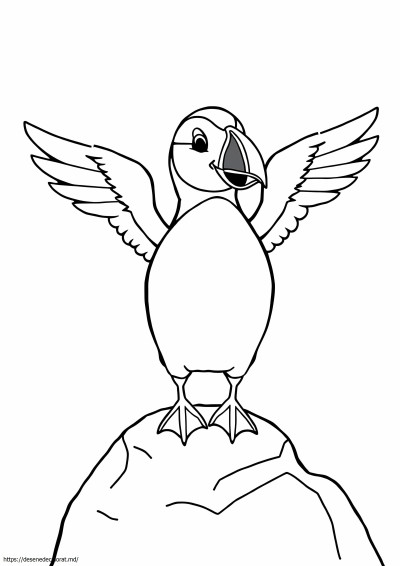 Pasăre puffin