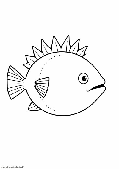Pește-puffer