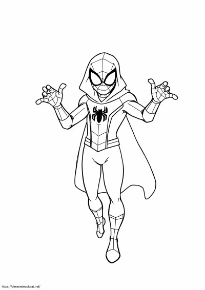 Spiderman fantomă