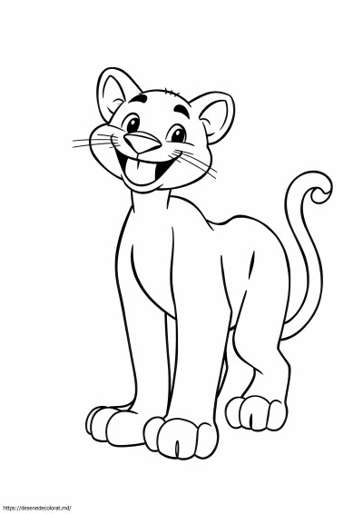 Puma