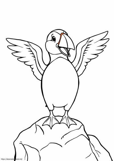 Puffin